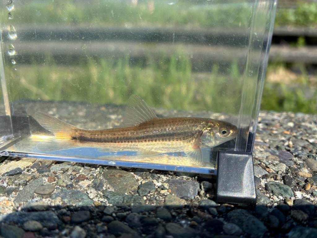 釣行記