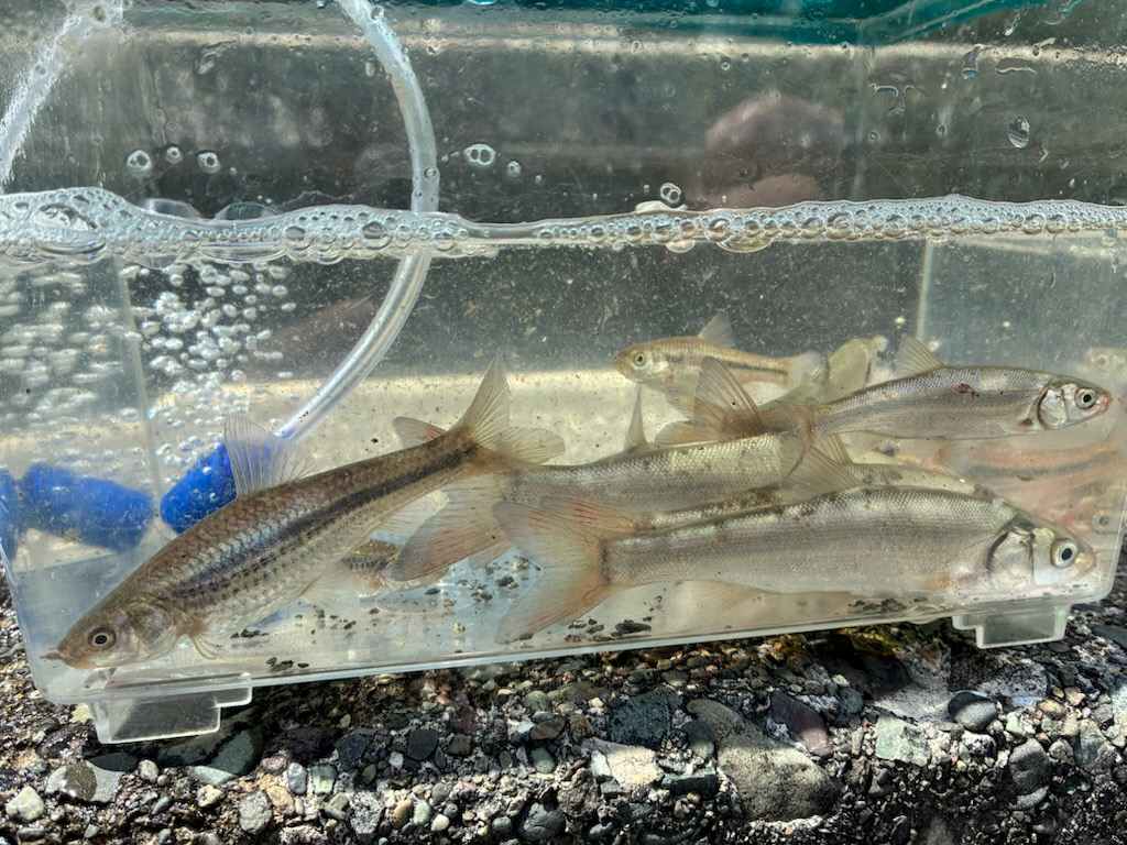 釣行記