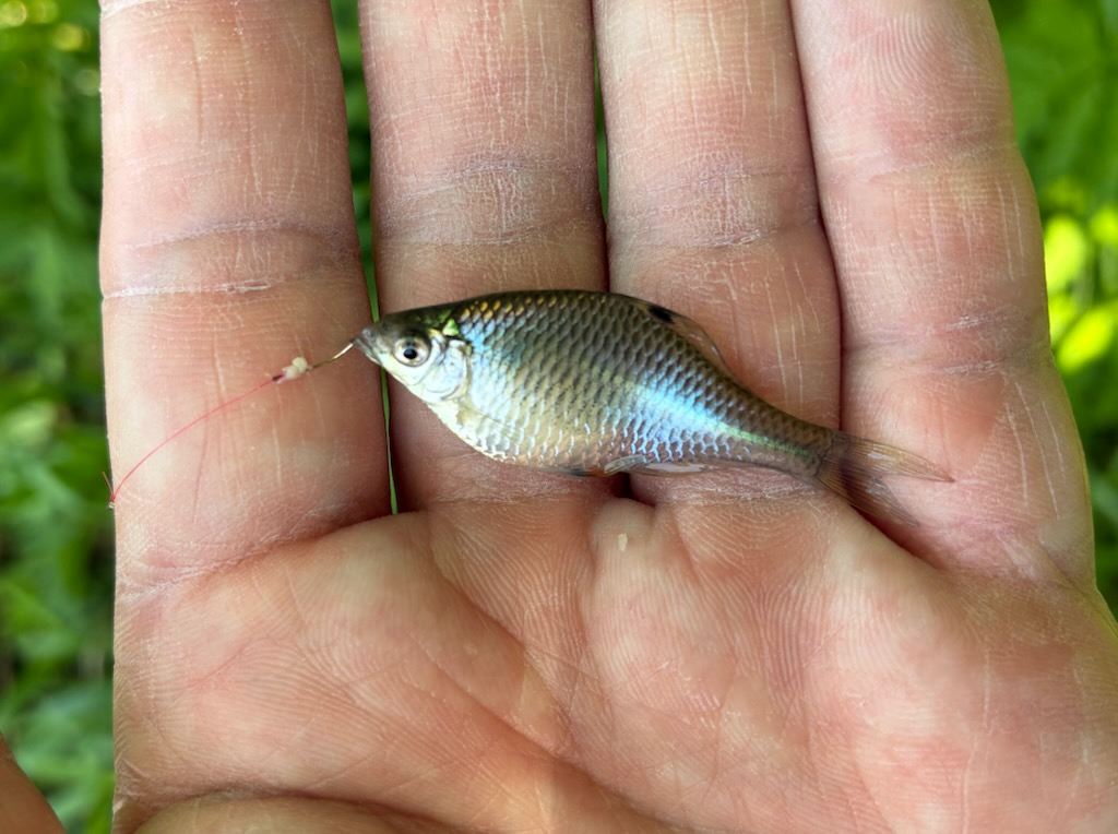 釣行記