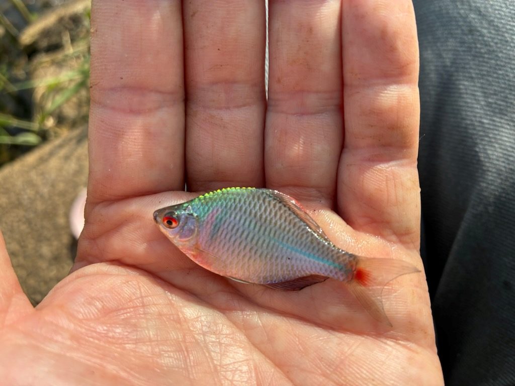 釣行記