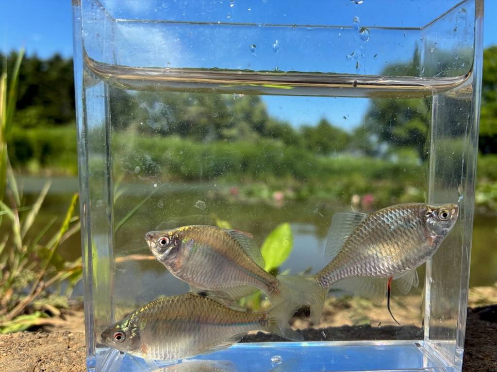釣行記