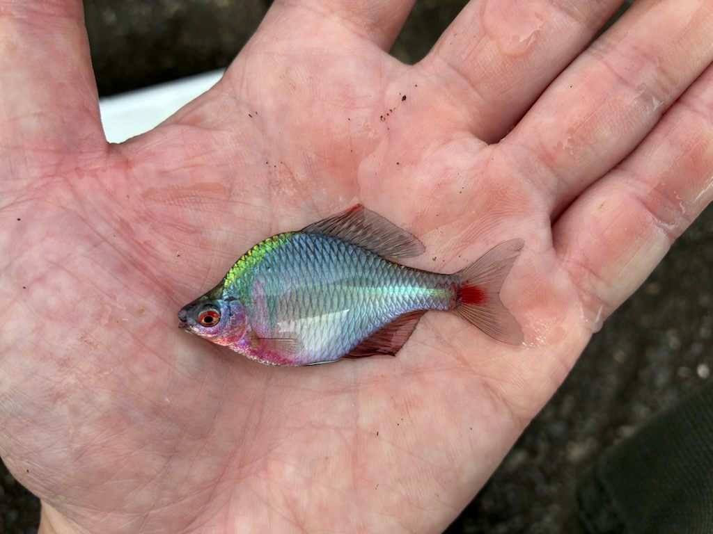 釣行記