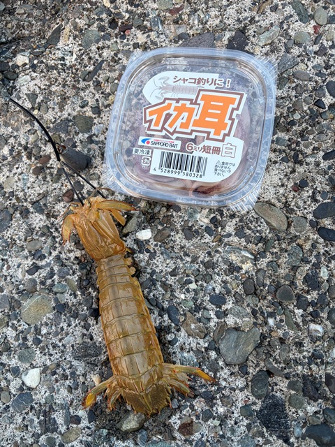 釣行記