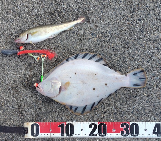 釣行記