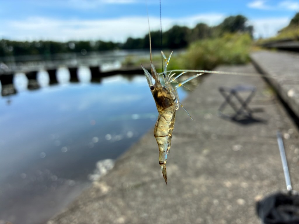 釣行記