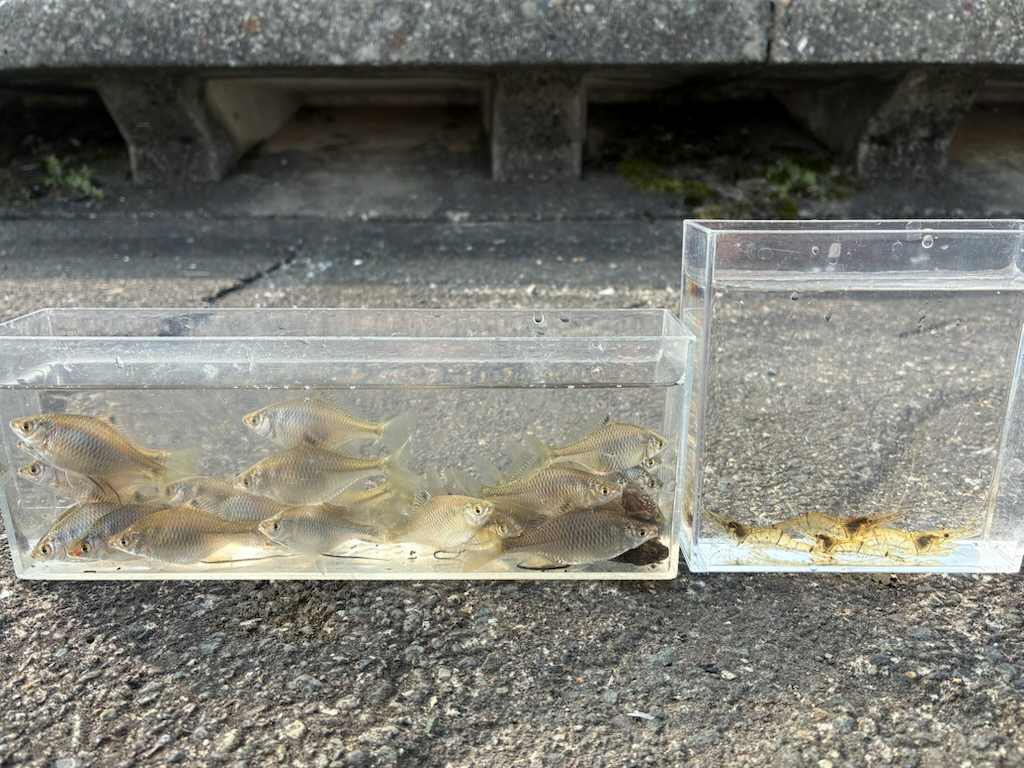 釣行記