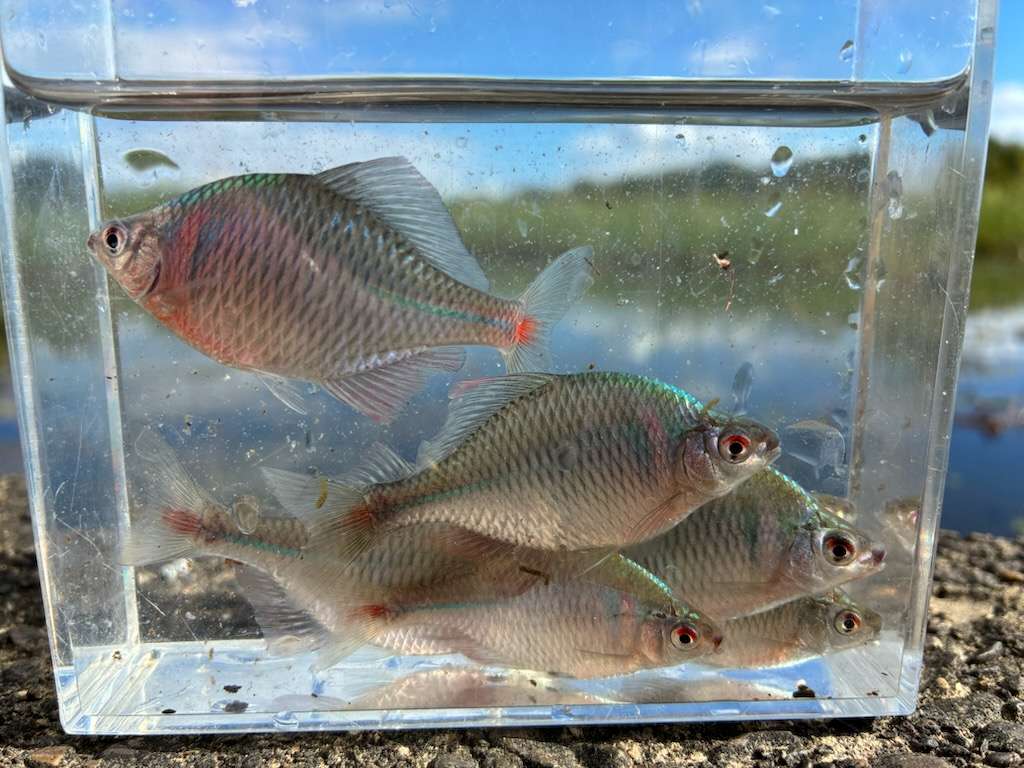 釣行記