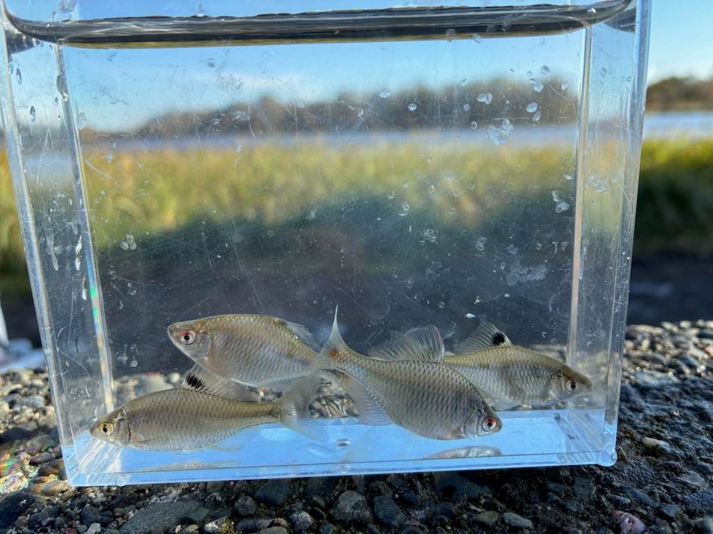 釣行記