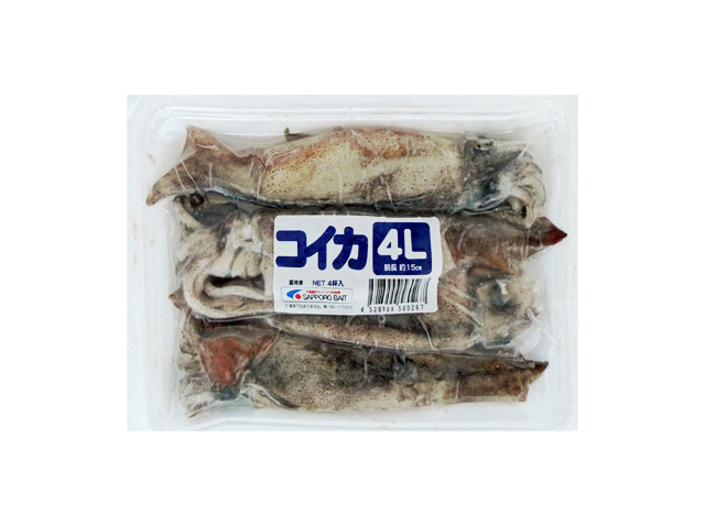 コイカヨンエル